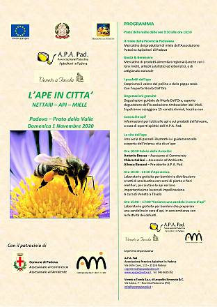 L'ape in città